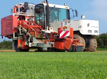 Harvesting lawn turf in Devon
