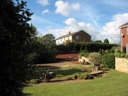 Delivery in South Devon 