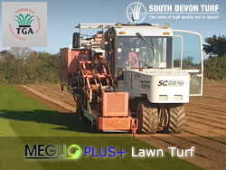 TGA Meglio Plus Lawn Turf