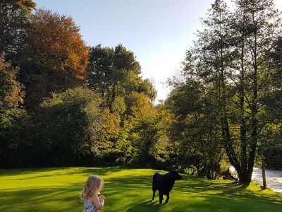 Supreme Supina - a great shade resistant lawn turf