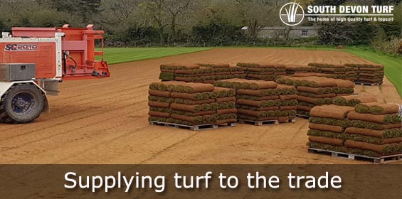 Turf delivery and collection in Plymouth