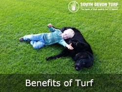 advantages of turf 
