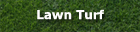 Lawn Turf