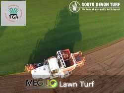 TGA specification lawn turf